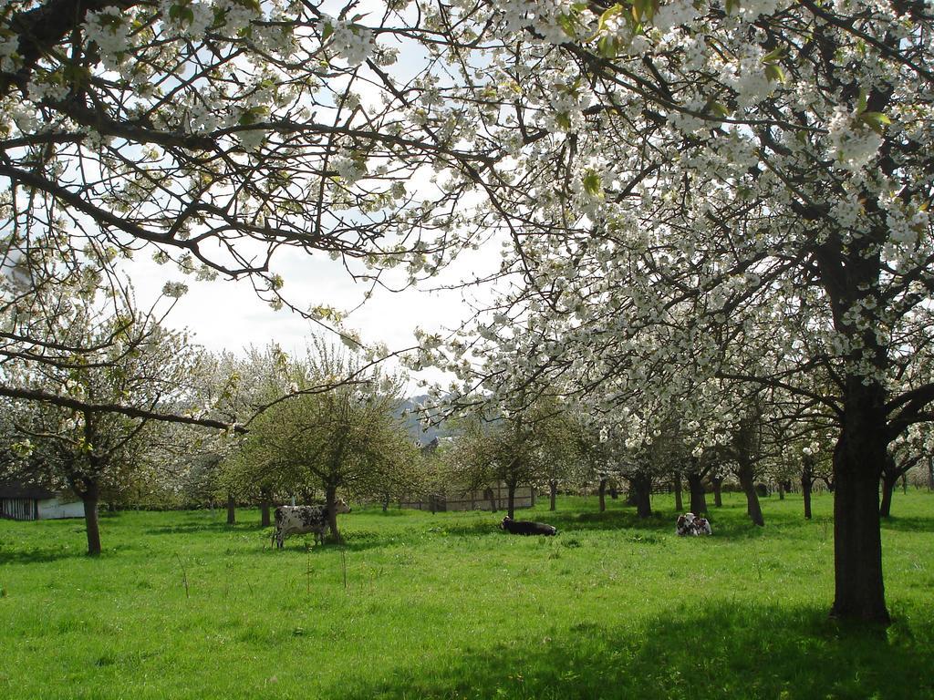 Chambres d'Hôtes Au Temps Des Cerises Jumièges Exterior foto