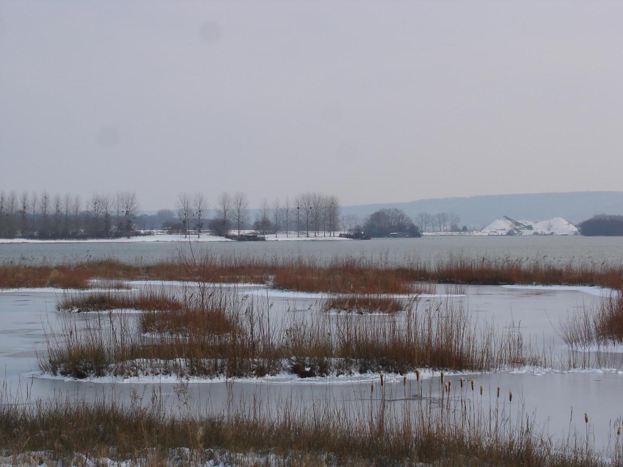 Chambres d'Hôtes Au Temps Des Cerises Jumièges Exterior foto